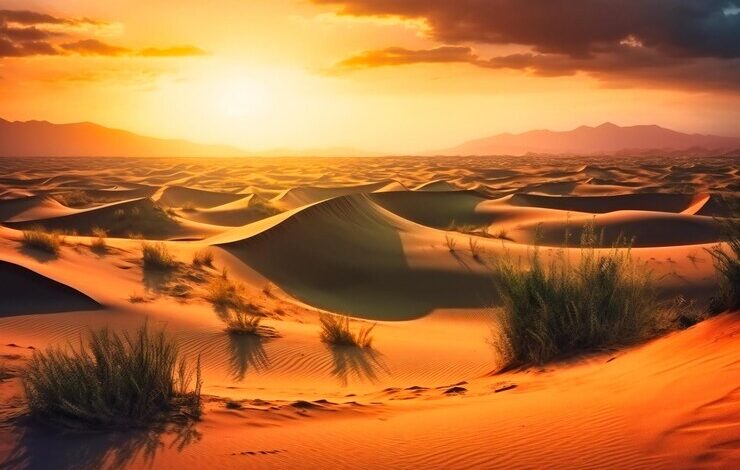 largest desert in asia nyt